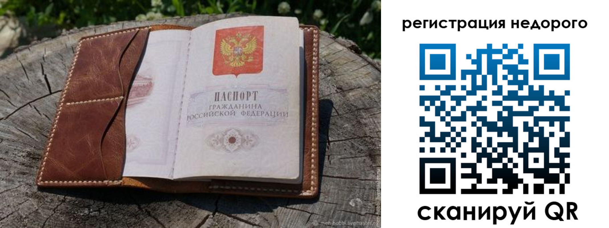 прописка гарантия в Хвалынске